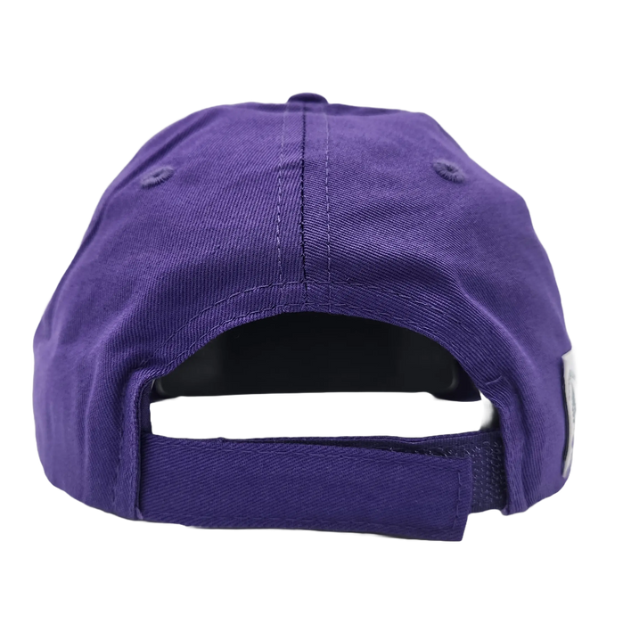 Youth Mauve Stripe 7 Twill Hat SHOP ROGUE WEAR Hats