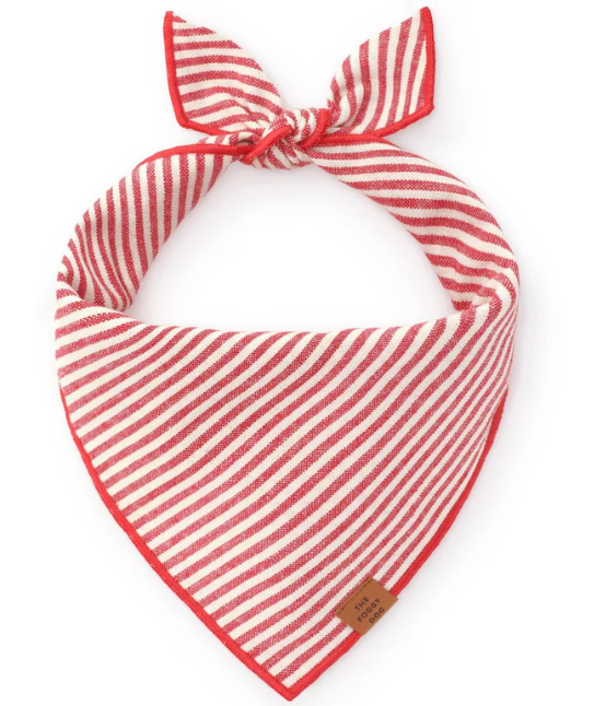 Dog Bandana ROGUE LIFE MAINE Accessories Red Stripe