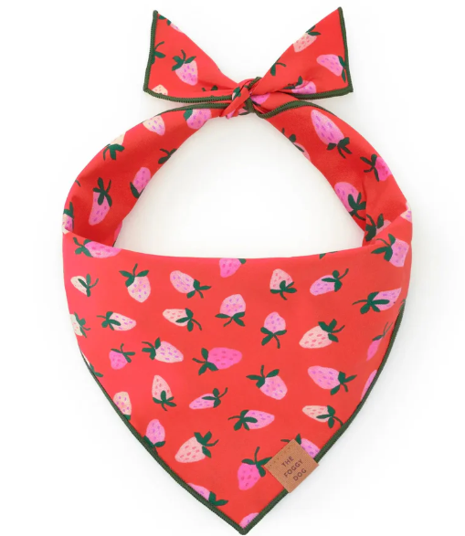 Dog Bandana ROGUE LIFE MAINE Accessories Berry Sweet