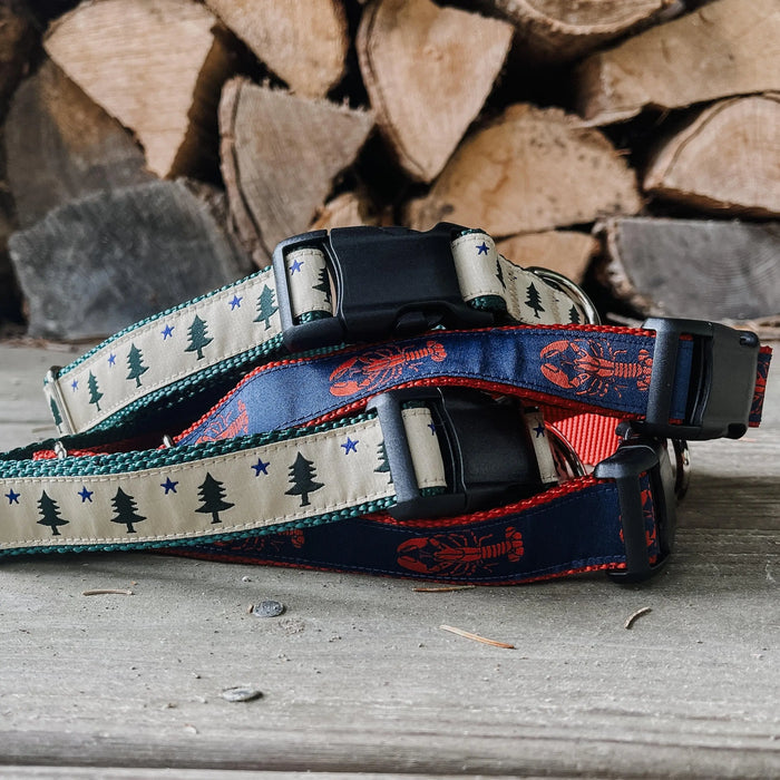 Maine Dog Collars and Leashes ROGUE LIFE MAINE Accessories